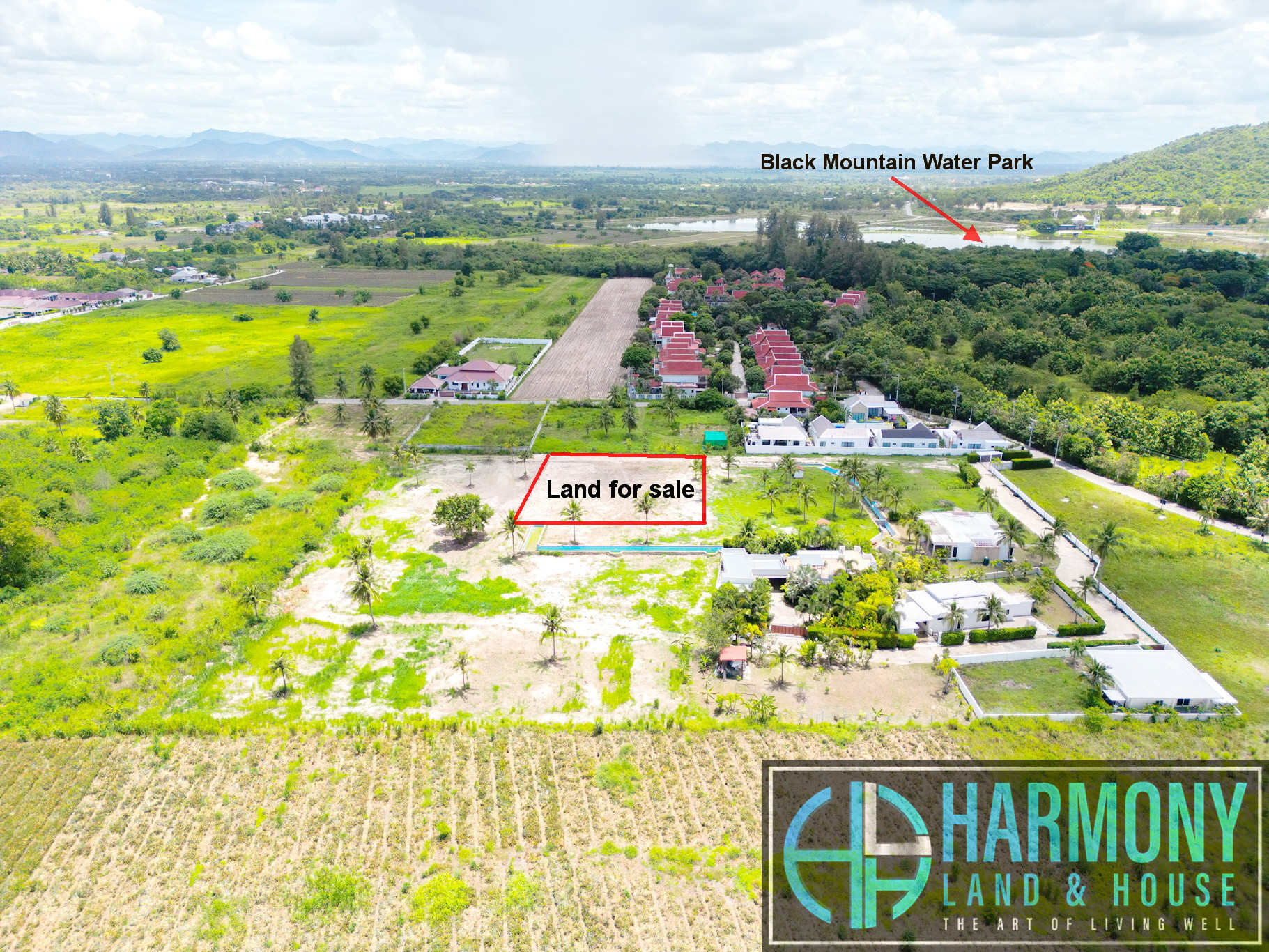Mountain view land plot. Harmony Real Estate